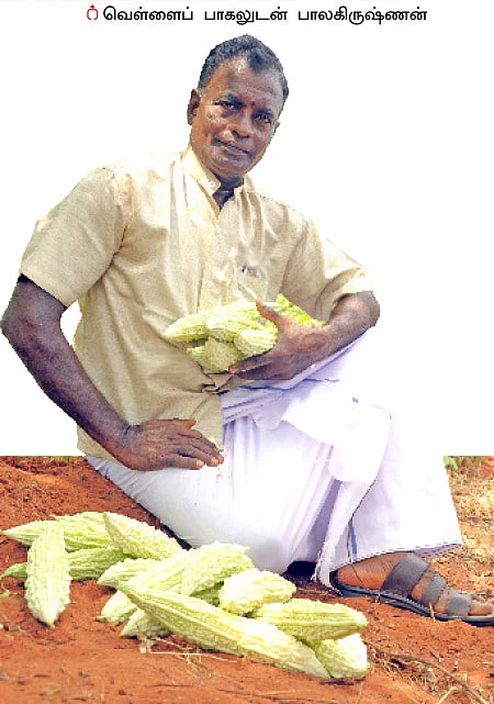 15 சென்ட்... 150 நாள்... 70 ஆயிரம் ரூபாய் லாபம்!