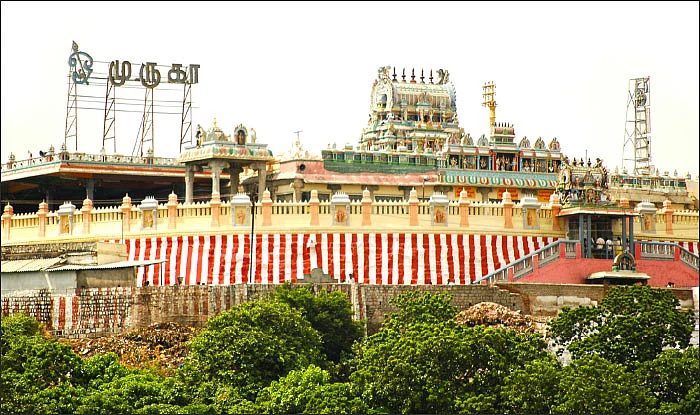 பழனிக்கும் மொட்டை... திருத்தணிக்கும் மொட்டை!