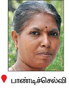பஞ்சத்தில் கைகொடுக்கும் தென்னை நண்பர்கள்...