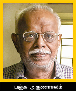 மிஸ்டர் மியாவ்