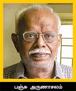மிஸ்டர் மியாவ்