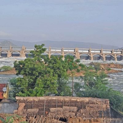பலன் கொடுக்குமா... குறுவைத் தொகுப்புத் திட்டம்?