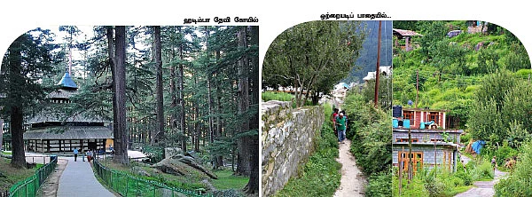 மலைப்பு... மயக்கம்... மர்மம்....3