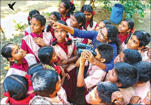 பறவையே எங்கு இருக்கிறாய்? - அகிலா