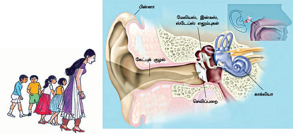 மாயா டீச்சரின் மந்திரக் கம்பளம் !