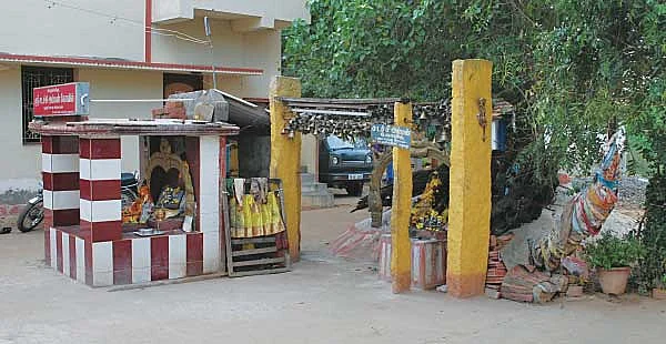 விஷம் நீங்கும் அதிசயம்!