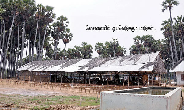 விபூதி... பல்பொடி...வறட்டி சாம்பிராணி...