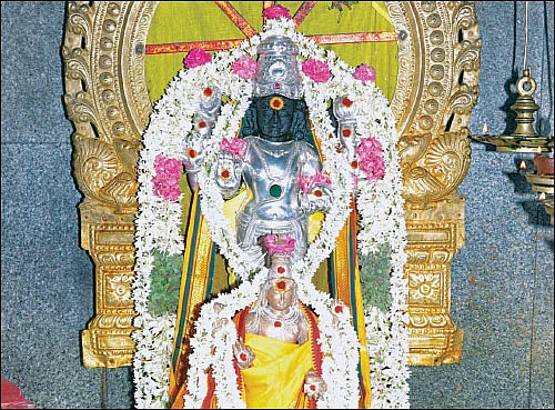 சுக்கிர யோகம் யாருக்கு?