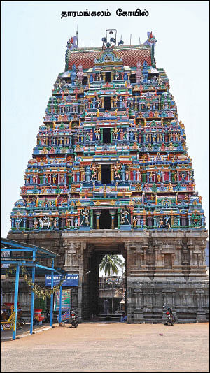 சேலம் 150 - இன்ஃபோ புக்