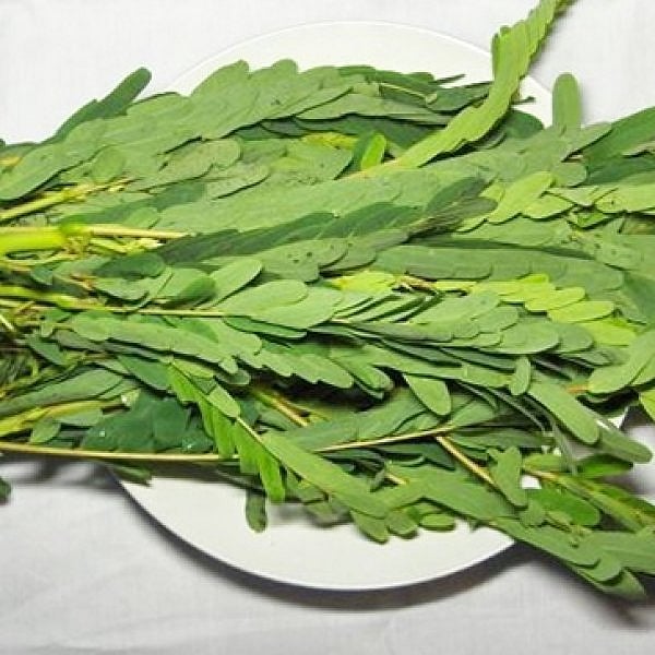 Multi - Benefits of Agathi Keerai