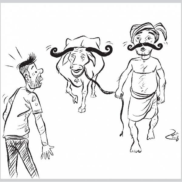 Cartoon jokes