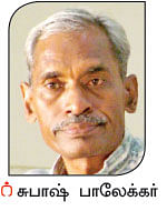 நீங்கள் கேட்டவை: “மரப்பயிர்களுக்குக் காப்பீடு உண்டா?”