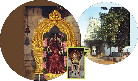 பெருந்துறை நாயகி !
