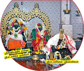 தடாகக் கரையில் முளைத்த பாடகலிங்கம்!