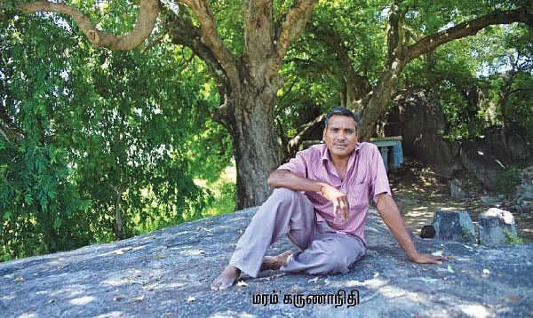 தெரு விளக்கு