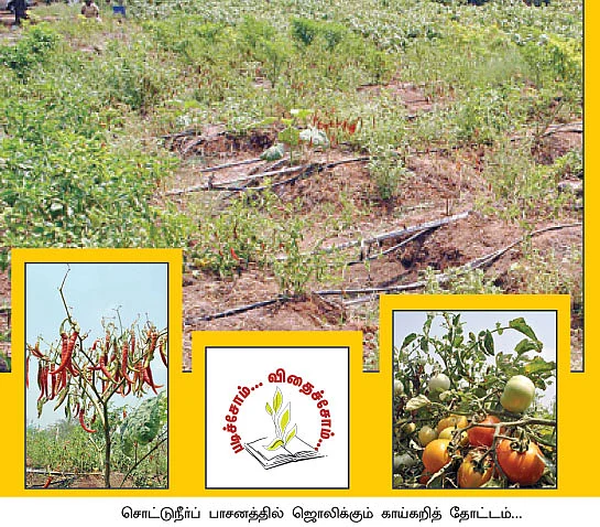 அன்று, தொழிலதிபர்... இன்று இயற்கை விவசாயி !
