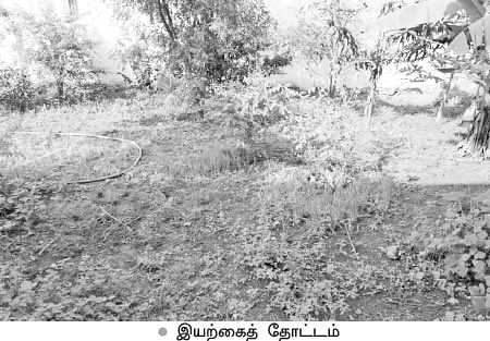 மழைநீர்-சோலார் மின்சாரம்-இயற்கைக் காய்கறிகள்...