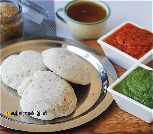 இட்லி மேளா!