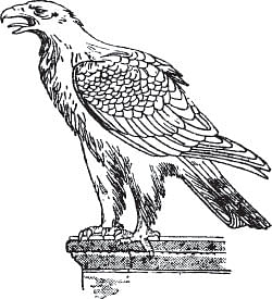 அருட்களஞ்சியம்
