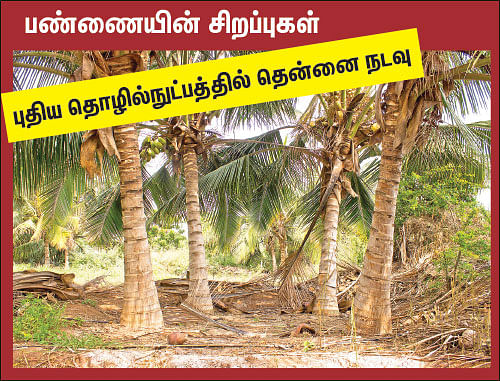 நம்மாழ்வார் சொல்லிய மதிப்புக்கூட்டும் மந்திரம்! - ஒரு நாள் விவசாயி! பருவம்-2