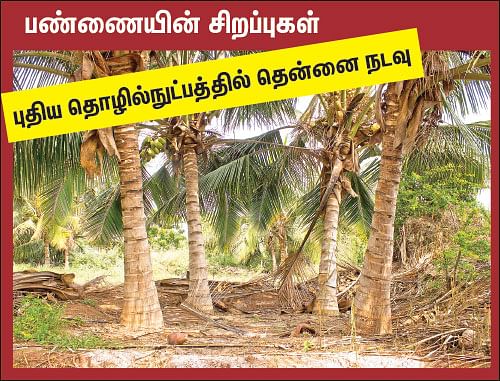 நம்மாழ்வார் சொல்லிய மதிப்புக்கூட்டும் மந்திரம்! - ஒரு நாள் விவசாயி!  பருவம்-2