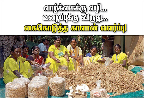வாழ்க்கைக்கு வழி...உழைப்புக்கு விருது...