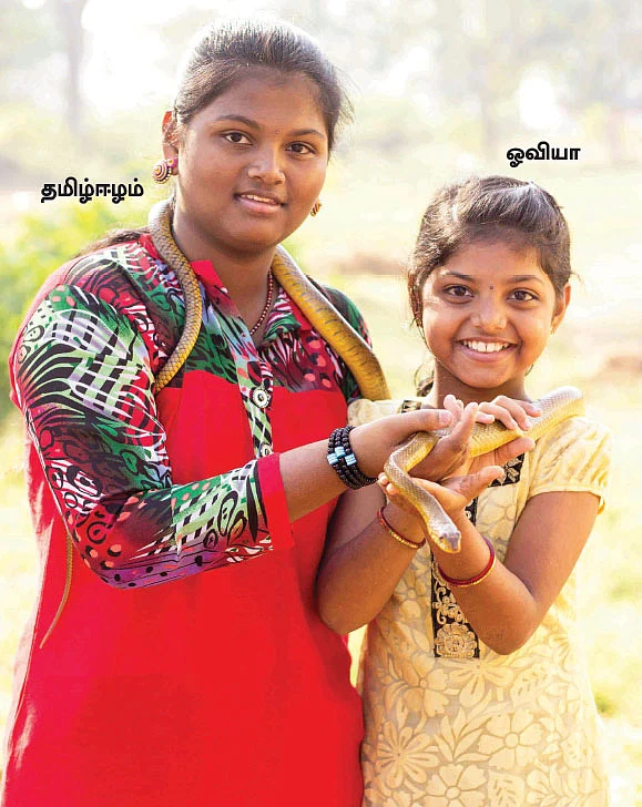 பாம்புகள் நம்ம ஃப்ரெண்ட்ஸ்