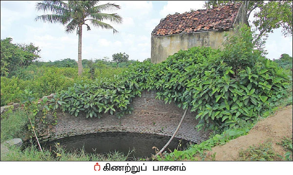 வளமான வருமானம் கொடுக்கும் முல்லைப் பூ!