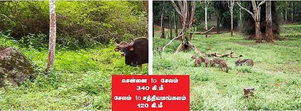 பைக்கர் மேனியா! - சென்னை to பிஆர் ஹில்ஸ்