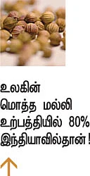கமாடிட்டியிலும் கலக்கலாம்!