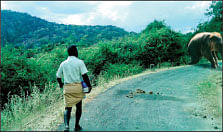 வலையோசை : வீடு.சுரேஸ்குமார்...