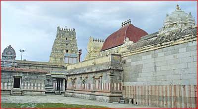 ஆனித் திருமஞ்சனத்தில் நடராஜர் தரிசனம்!