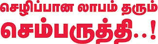 கிலோ 160 ரூபாய்... மாசத்துக்கு 240 கிலோ...