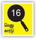 சோறு முக்கியம் பாஸ்! - 16