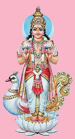 ஜய வருட ராசிபலன்கள்