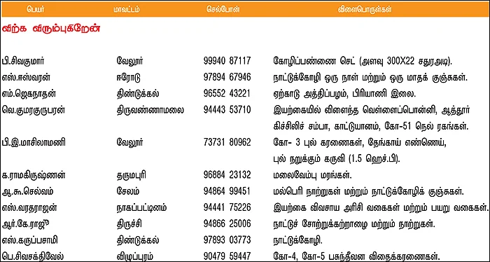 பசுமை சந்தை