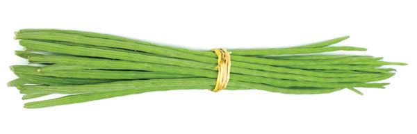 மூலநோய்க்கு மருந்தாகும் முருங்கைக்காய்!