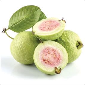 இளமை உணவுகள்