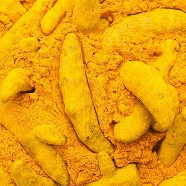 Turmeric – a gold among fragrances