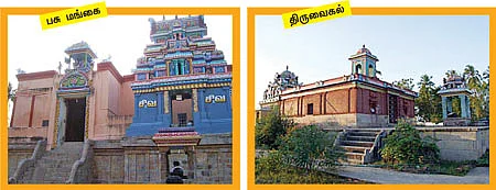 மன்னவன்... நாயனார்... மாடக்கோயில்கள்!