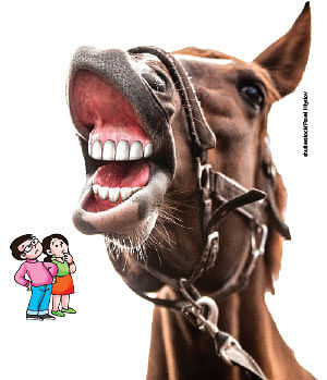 மாயா டீச்சரின் மந்திரக் கம்பளம்!