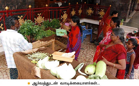 கலப்புப் பயிரில் கலக்கும் பெண் விவசாயி!