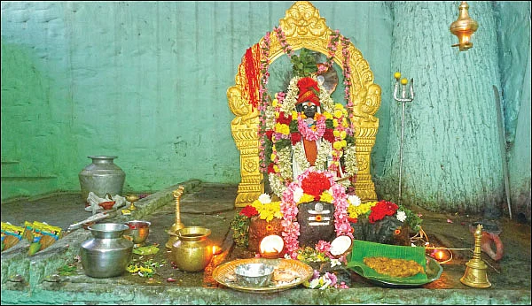 உறவுகளை ஒன்று சேர்க்கும் வனபோஜனம்!