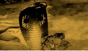 துங்கா நதி தீரத்தில்... - 4