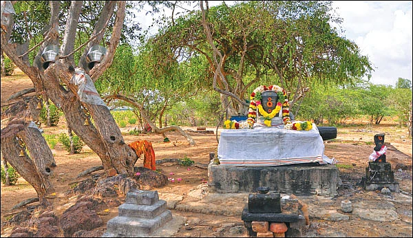 வானமே கூரை... சூரிய - சந்திரரே விளக்குகள்!