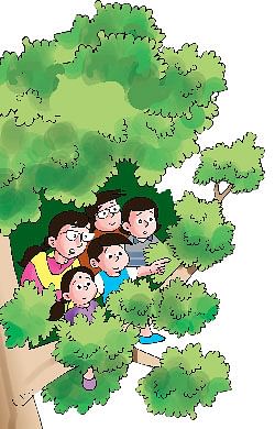 மாயா டீச்சரின் மந்திரக் கம்பளம்!