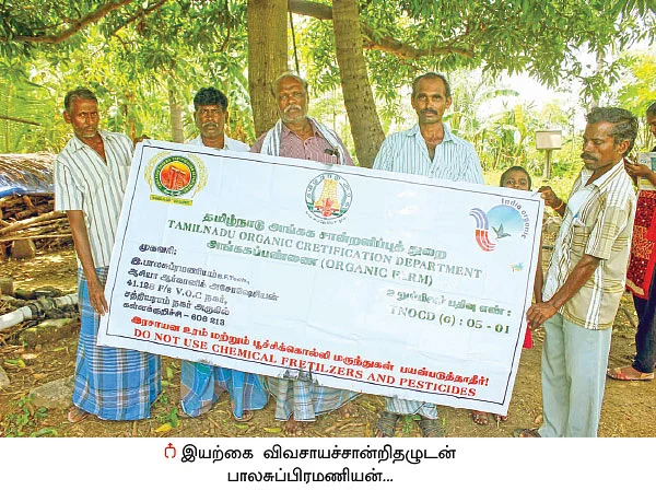 மொந்தன் வாழை... 1 ஏக்கர் 60 சென்ட்... ஆண்டுக்கு ரூ 3 லட்சம் லாபம்!