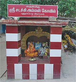 விஷம் நீங்கும் அதிசயம்!