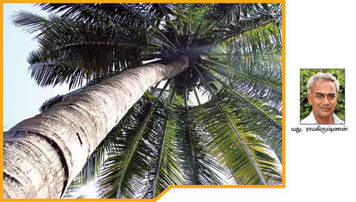 நீங்கள் கேட்டவை