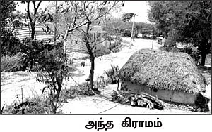 வீட்டுக்குள் பிரசவம்.. கொல்லையில் மயானம்!